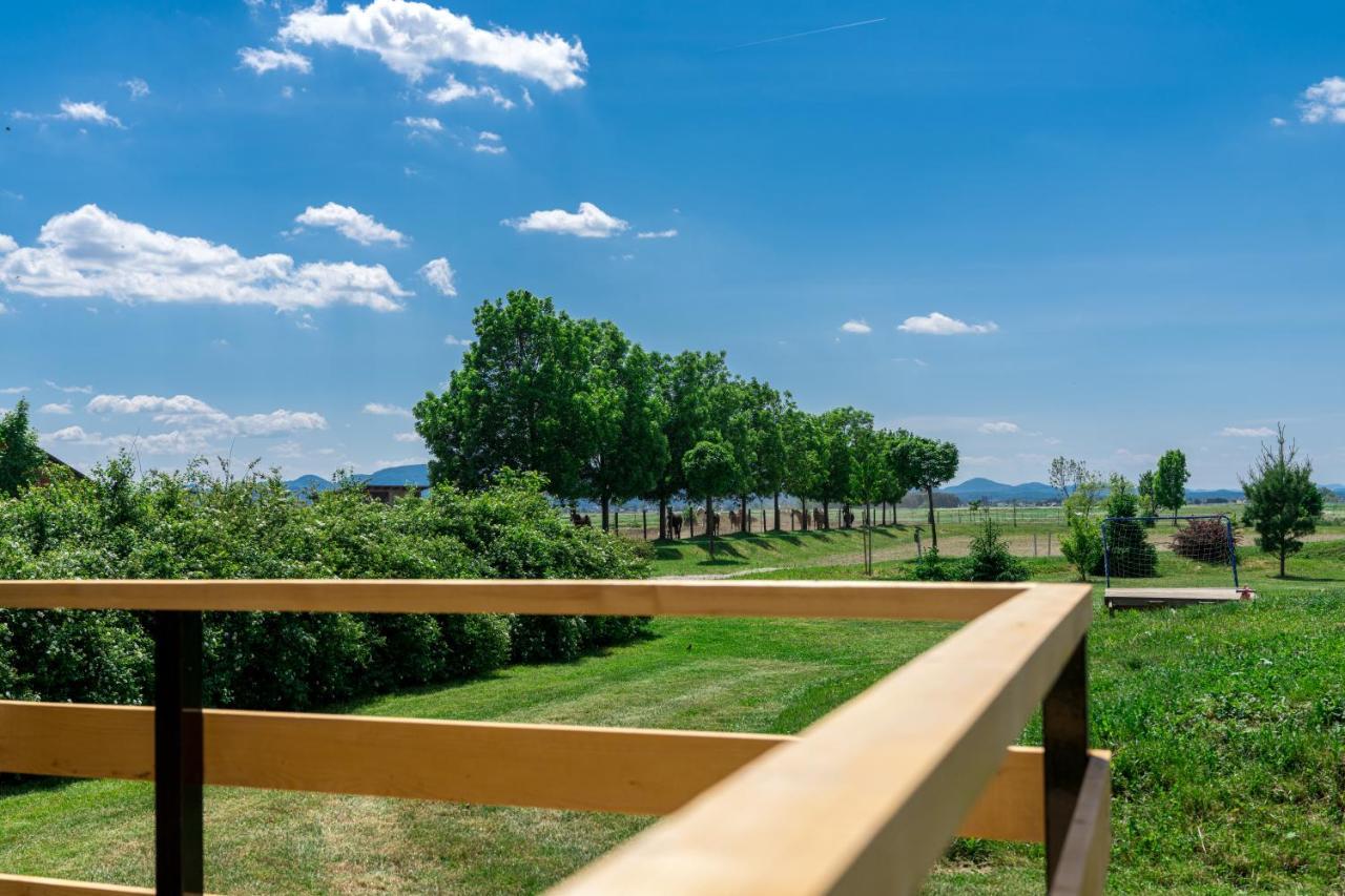 Horse Glamping Park 호텔 Cirkovce 외부 사진
